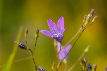 Similar image 21497268