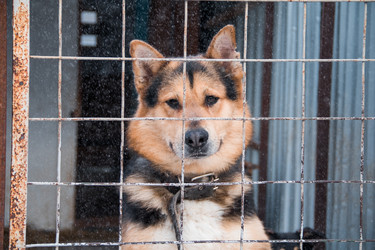 Similar image 21494932