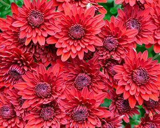 Similar image 21494936