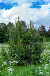 Similar image 21494938