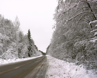 Similar image 21494943