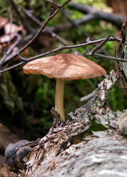 Similar image 21494946