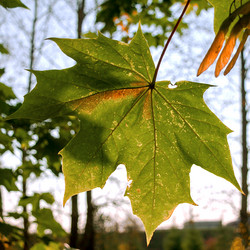 Similar image 21494970