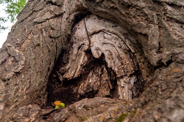 Similar image 21494971