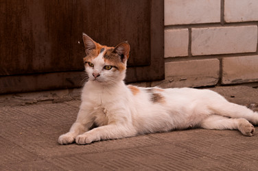 Similar image 21494975