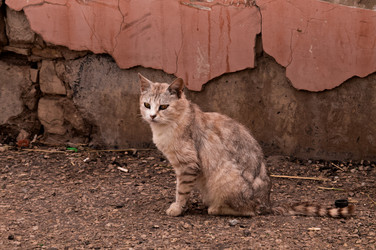 Similar image 21494983