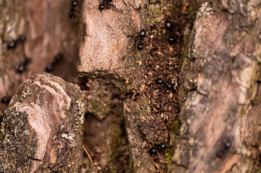 Similar image 21494984