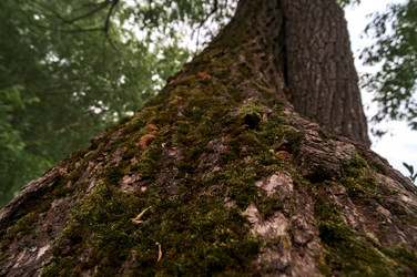 Similar image 21494985