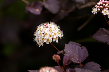 Similar image 21494987