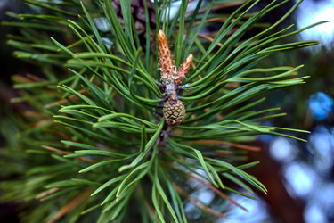 Similar image 21494954