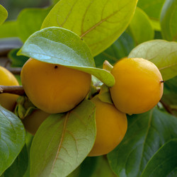 Similar image 21494961