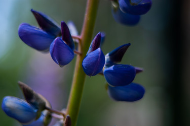 Similar image 21497270