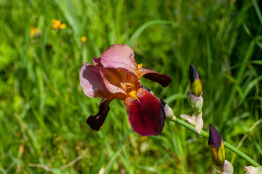 Similar image 21497271