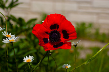 Similar image 21497272