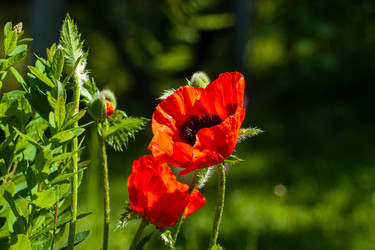 Similar image 21497273