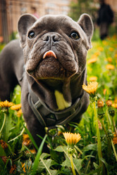 Similar image 21494997