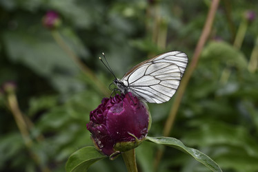 Similar image 21494978