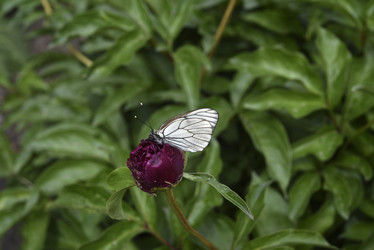 Similar image 21494979