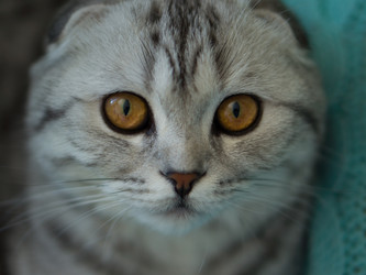 Similar image 21496687