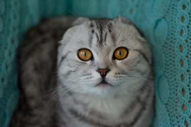 Similar image 21496688