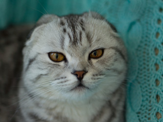 Similar image 21496689