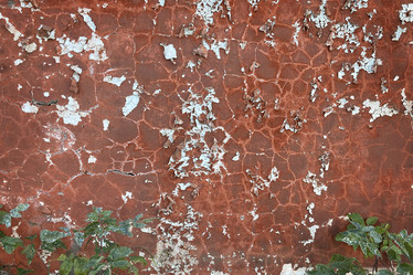 Similar image 21496690