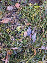 Similar image 21496691