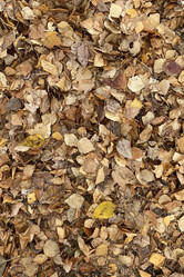 Similar image 21496697