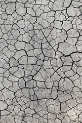 Similar image 21496700