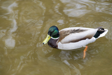 Similar image 21495033