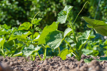 Similar image 21495088