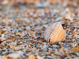 Similar image 21495089