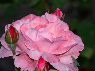 Similar image 21495094