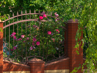 Similar image 21495095