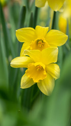 Similar image 21495097