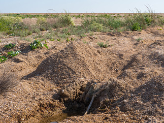 Similar image 21495098