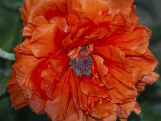 Similar image 21495103