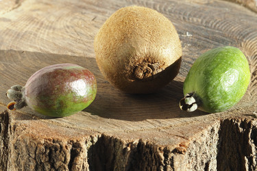 Similar image 21495105