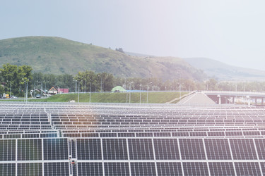 Similar image 21500678