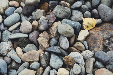 Similar image 21500679