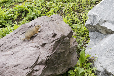 Similar image 21500680