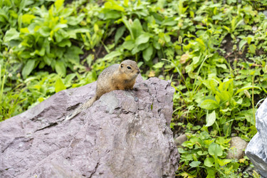 Similar image 21500244