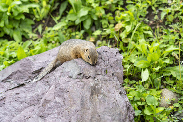 Similar image 21500245