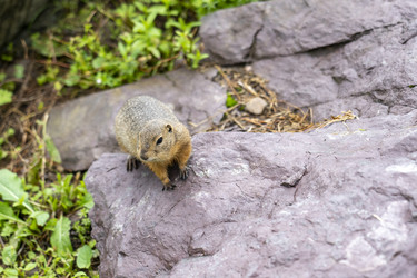 Similar image 21500246