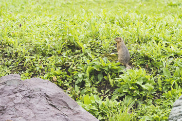 Similar image 21500250