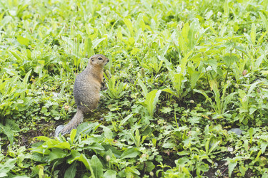 Similar image 21498933