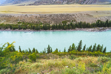 Similar image 21499339