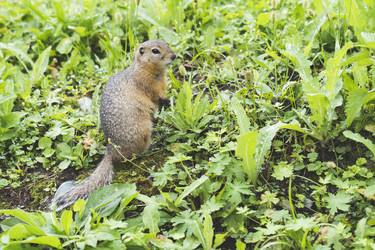 Similar image 21499340