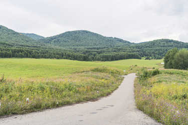 Similar image 21499347