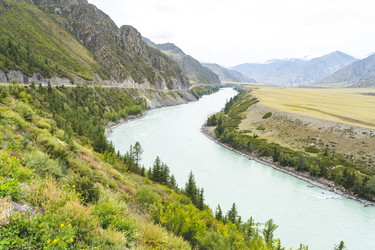 Similar image 21499353